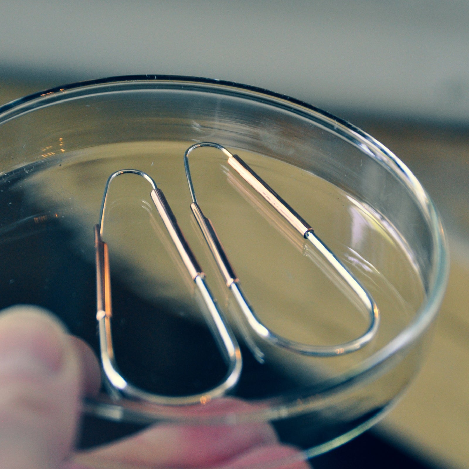 Cappio Earrings Copper